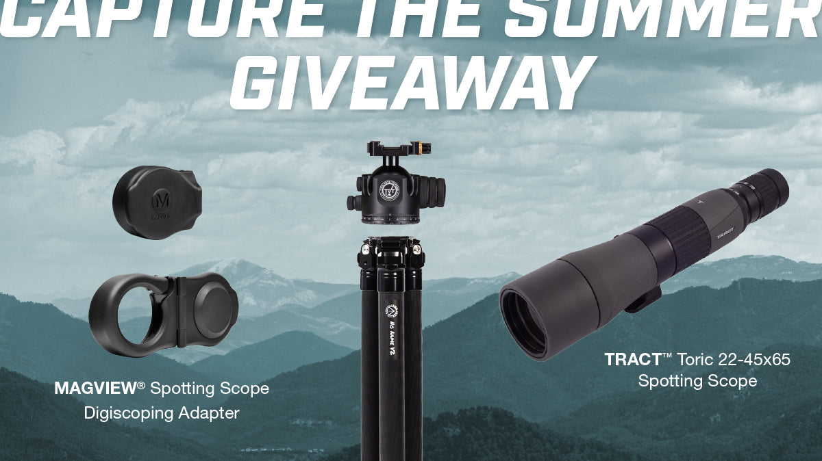 MAGVIEW summer giveaway