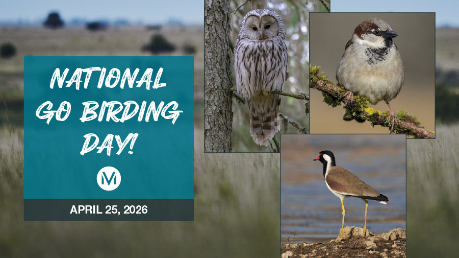 National Go Birding Day 2026