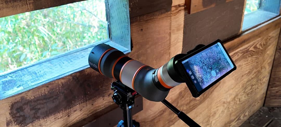 Digiscoping birds (bird watching) from a wildlife blind.
