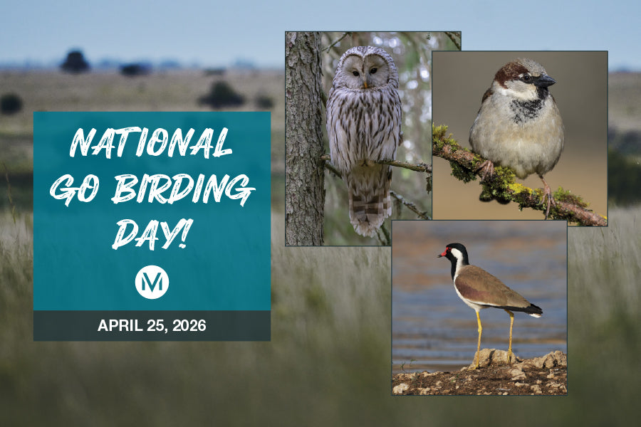 National Go Birding Day 2026