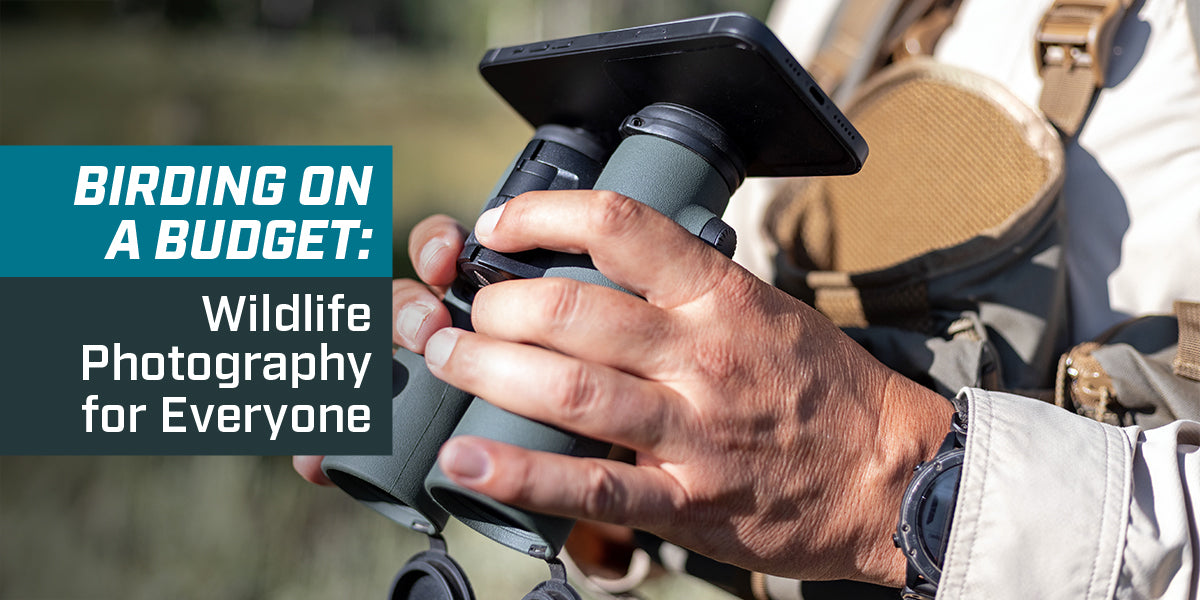 birding on a budget: wildlife photography for everyone