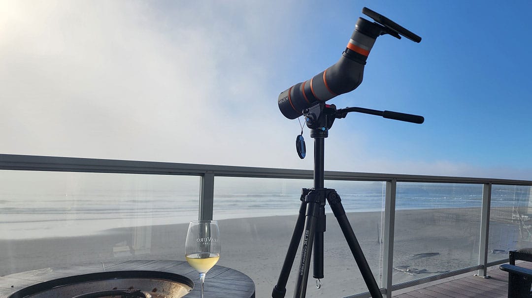 Digiscoping at the beach whale watching sipping wine.