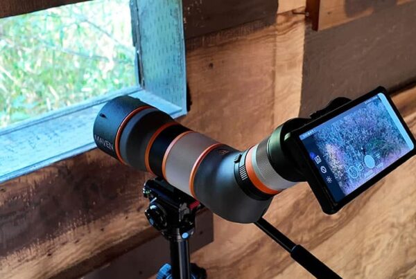Digiscoping birds (bird watching) from a wildlife blind.