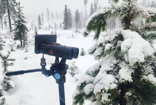 Holiday gift idea digiscoping during the holidays
