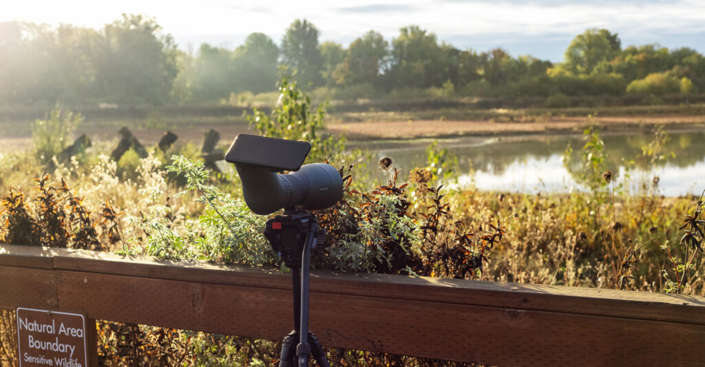 Wetland bird watching with spotting scope using phone adaptor.
