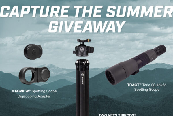 MAGVIEW summer giveaway